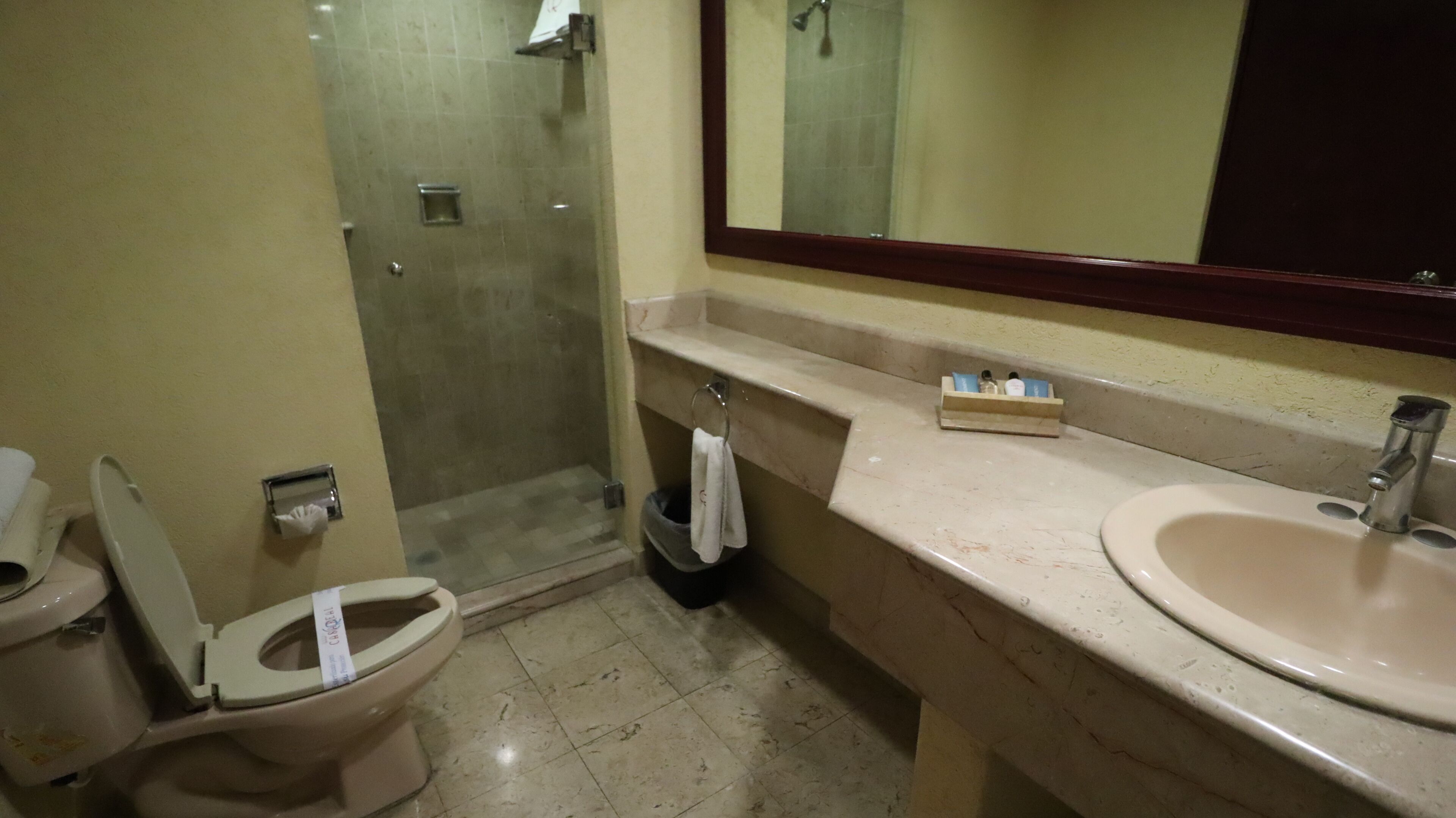 A bathroom with a toilet, a sink, a mirror, and a shower.