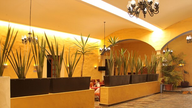 Um hall com parede amarela, balcão de recepção e plantas em vasos.