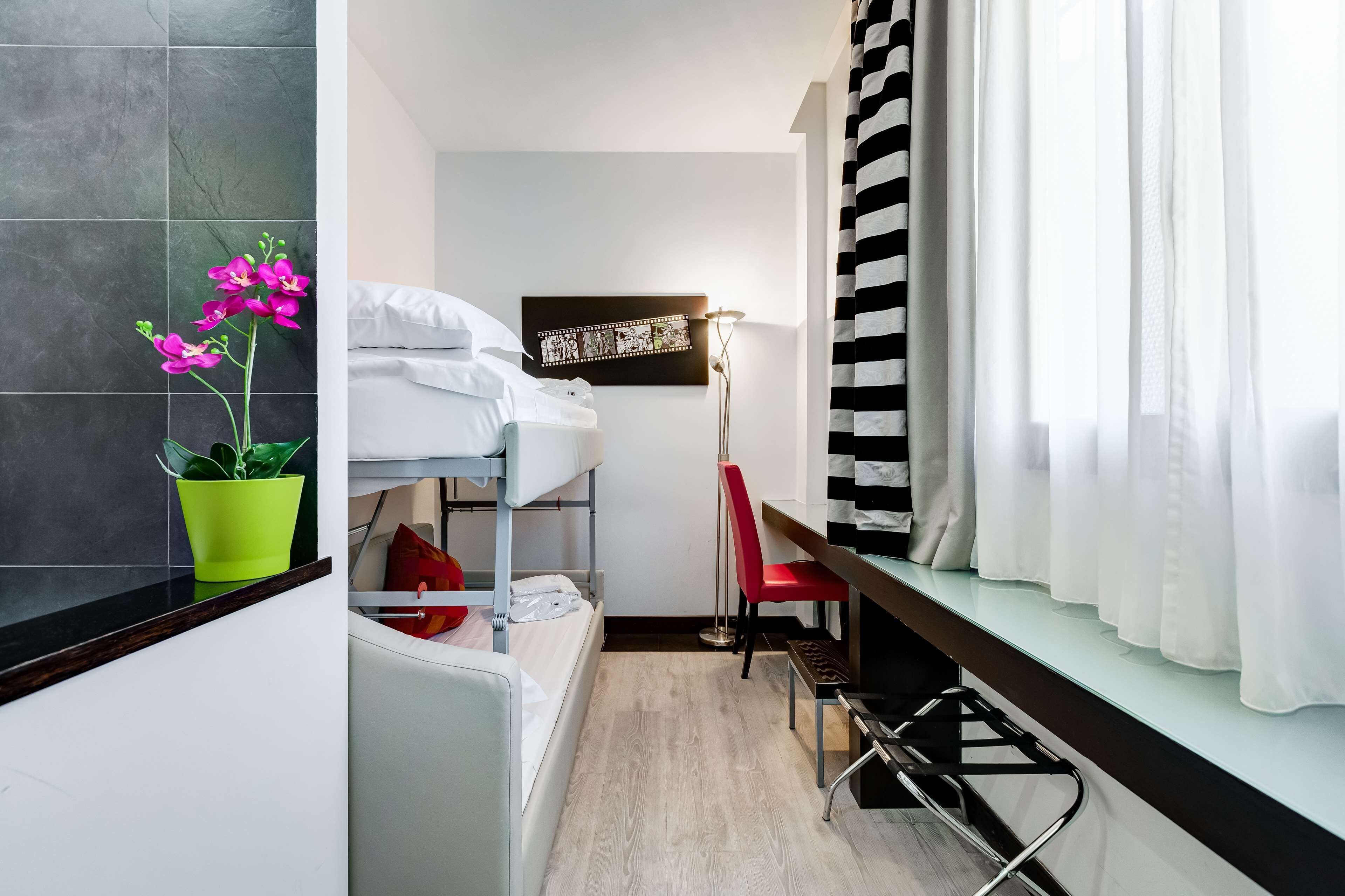 Una camera d'albergo compatta con un letto a castello, una scrivania, una sedia, una pianta in vaso e una foto incorniciata appesa al muro.
