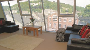 38-inch TV with satellite channels, DVD player