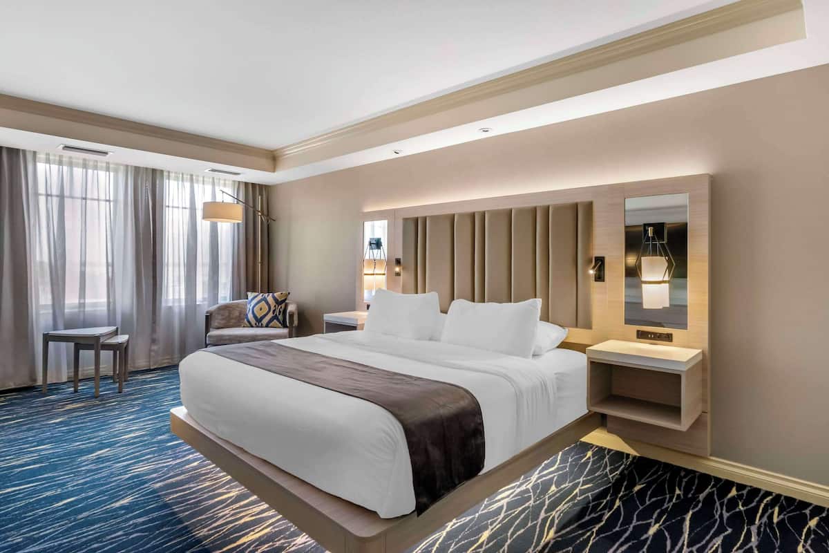 Chambre, 1 trÚs grand lit, accessible aux personnes à mobilité réduite, non-fumeur