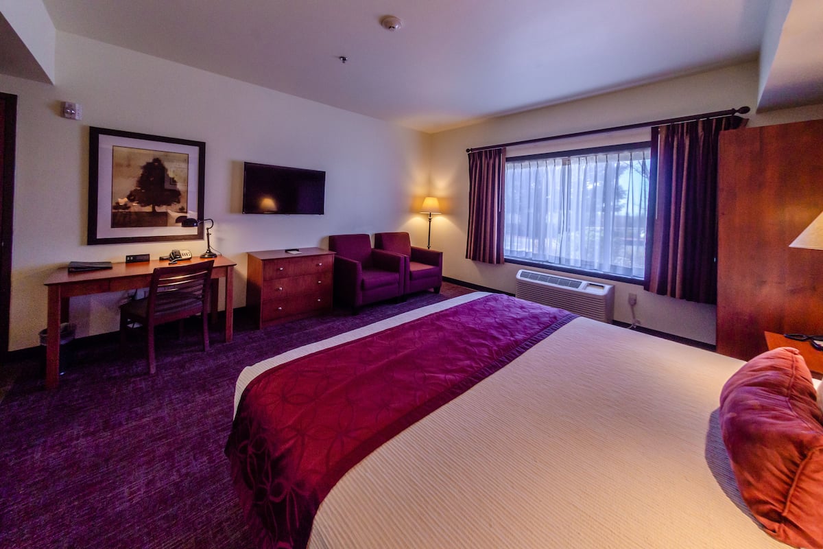 Una habitación de hotel con una cama grande, un escritorio con silla, un televisor montado en la pared y una ventana con cortinas.
