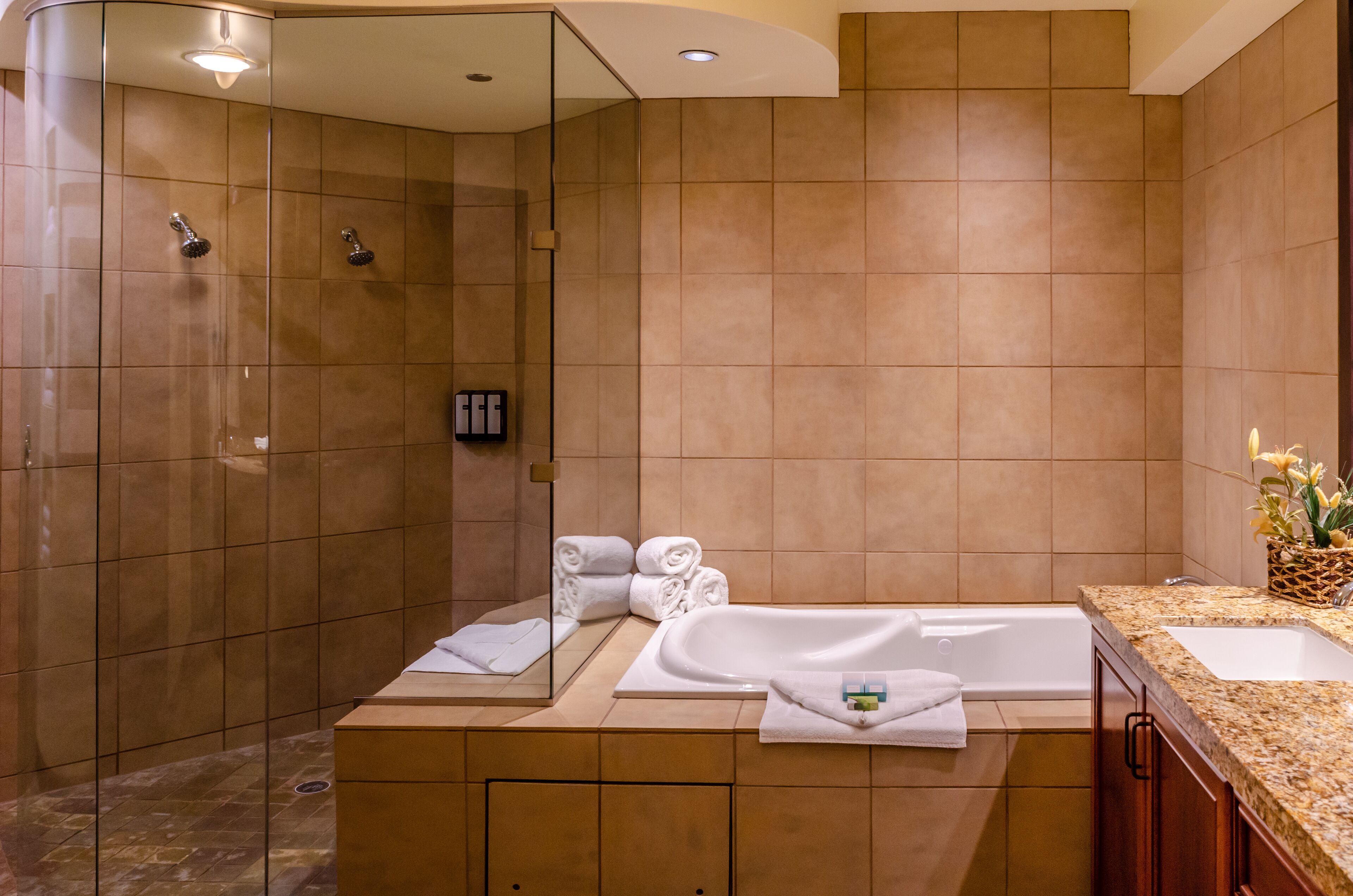 combined shower/bathtub, free toiletries, hair dryer, towels