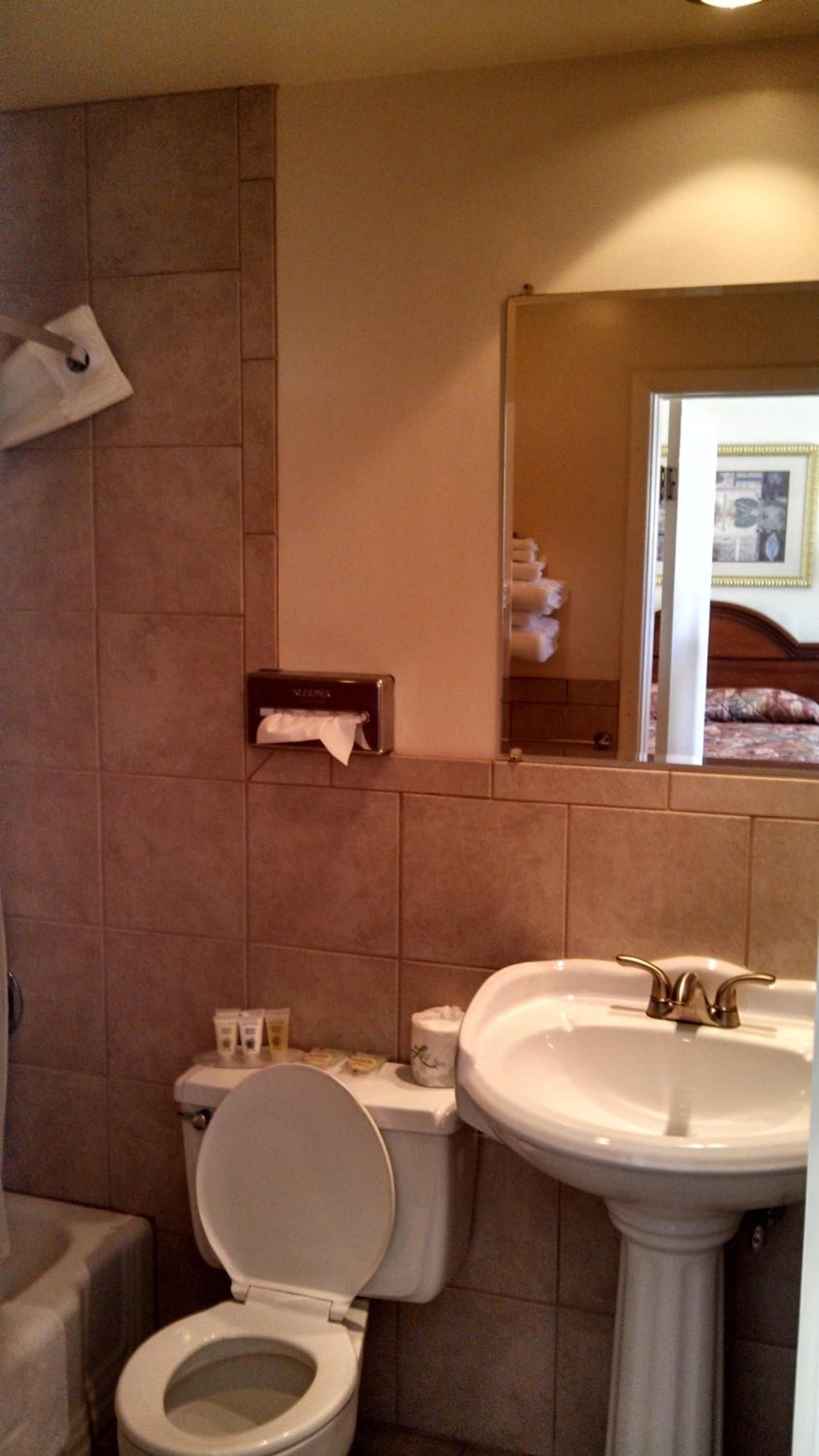 A bathroom with a toilet, sink, and mirror.