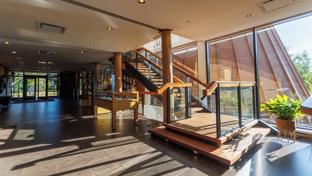 Um interior espaçoso com escada de madeira, janelas amplas e design moderno.