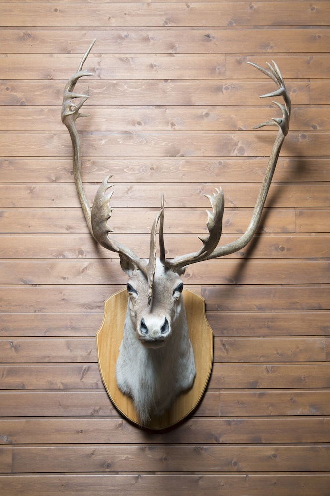 Hôtel-Musée Premières Nations by null