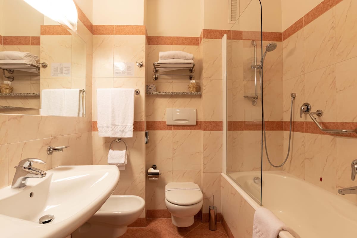 combined shower/bathtub, hair dryer, bidet, towels