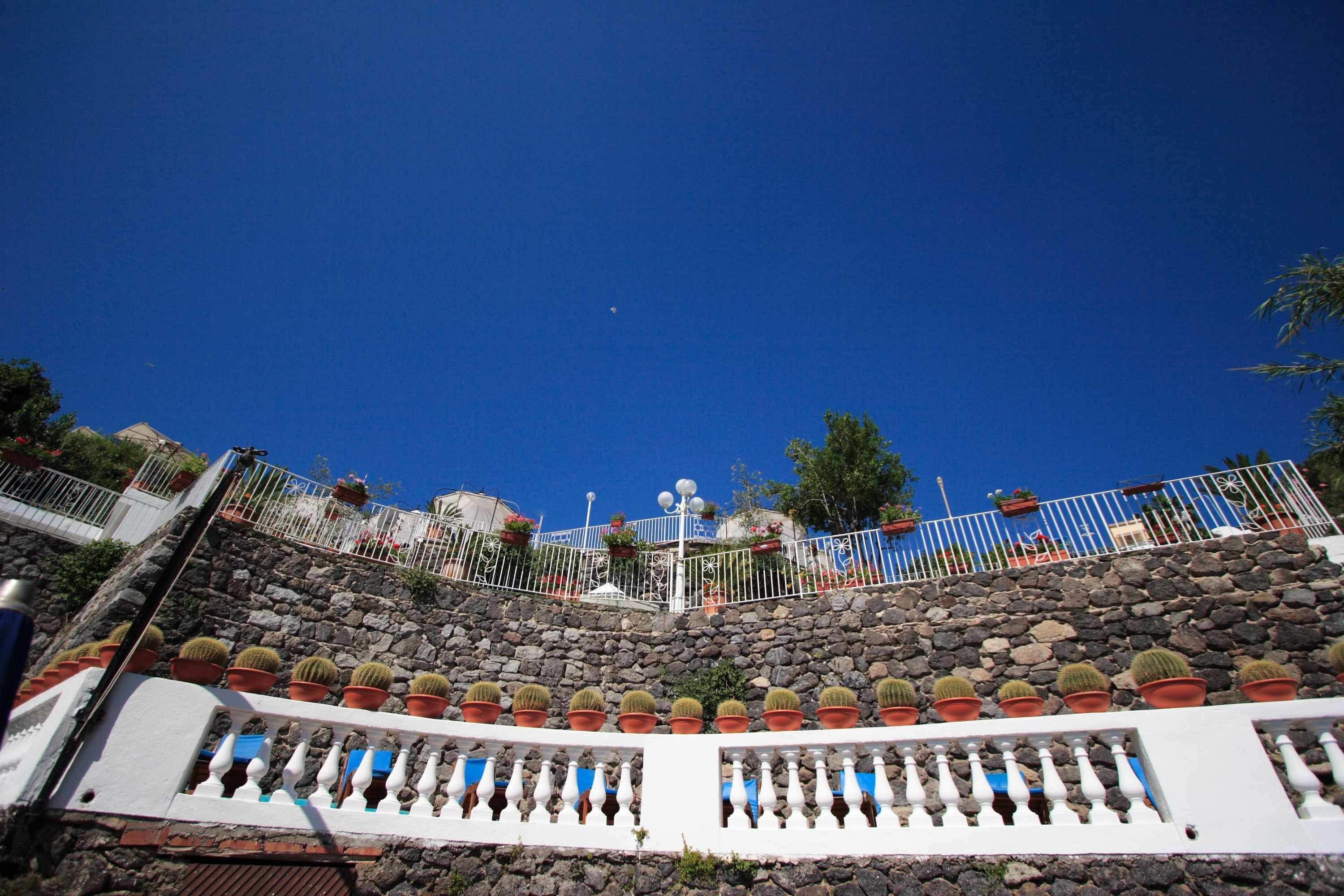 A stone staircase with potted cacti and a white balustrade.