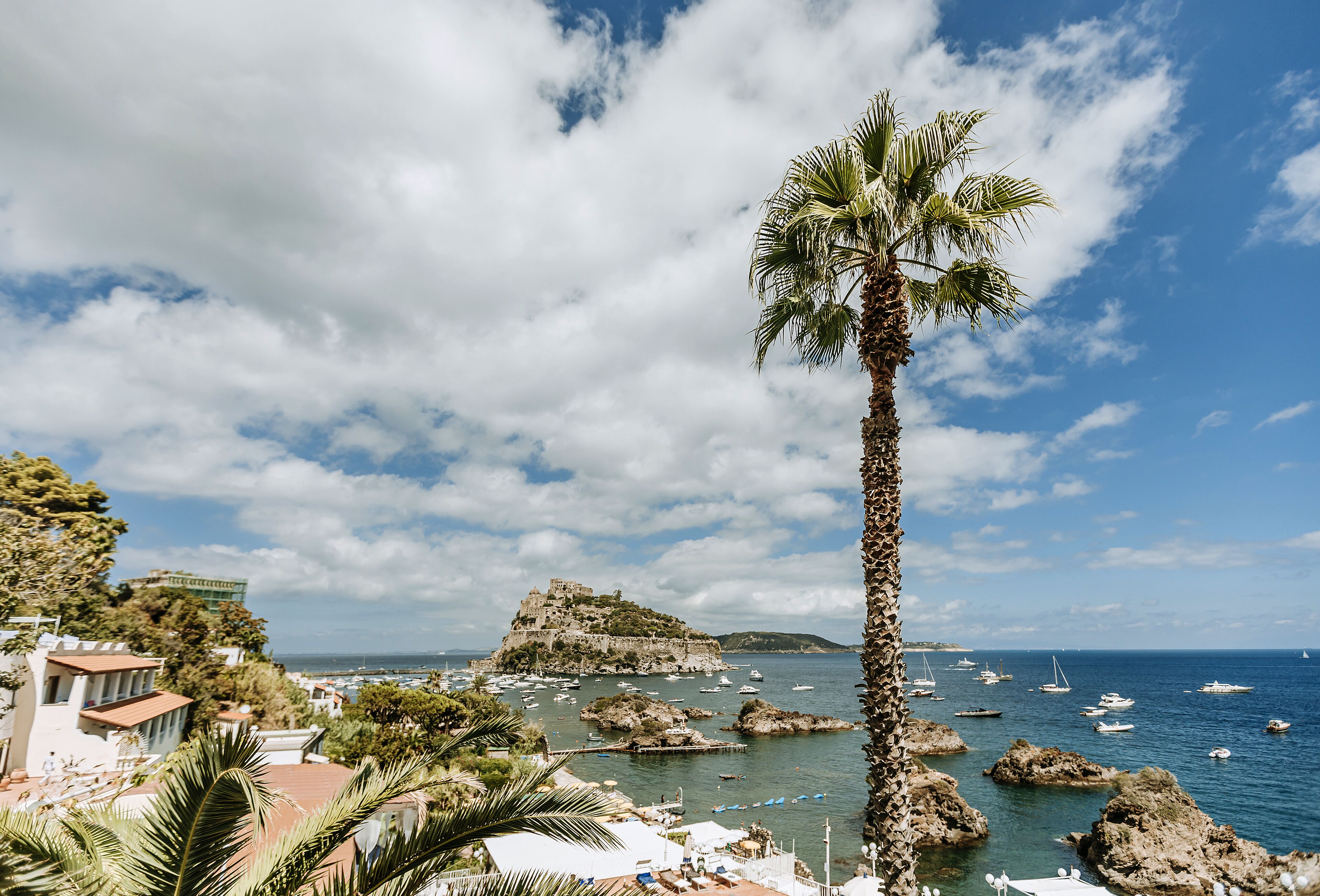 A coastal town with a prominent palm tree, rocky coastline, and historic buildings.