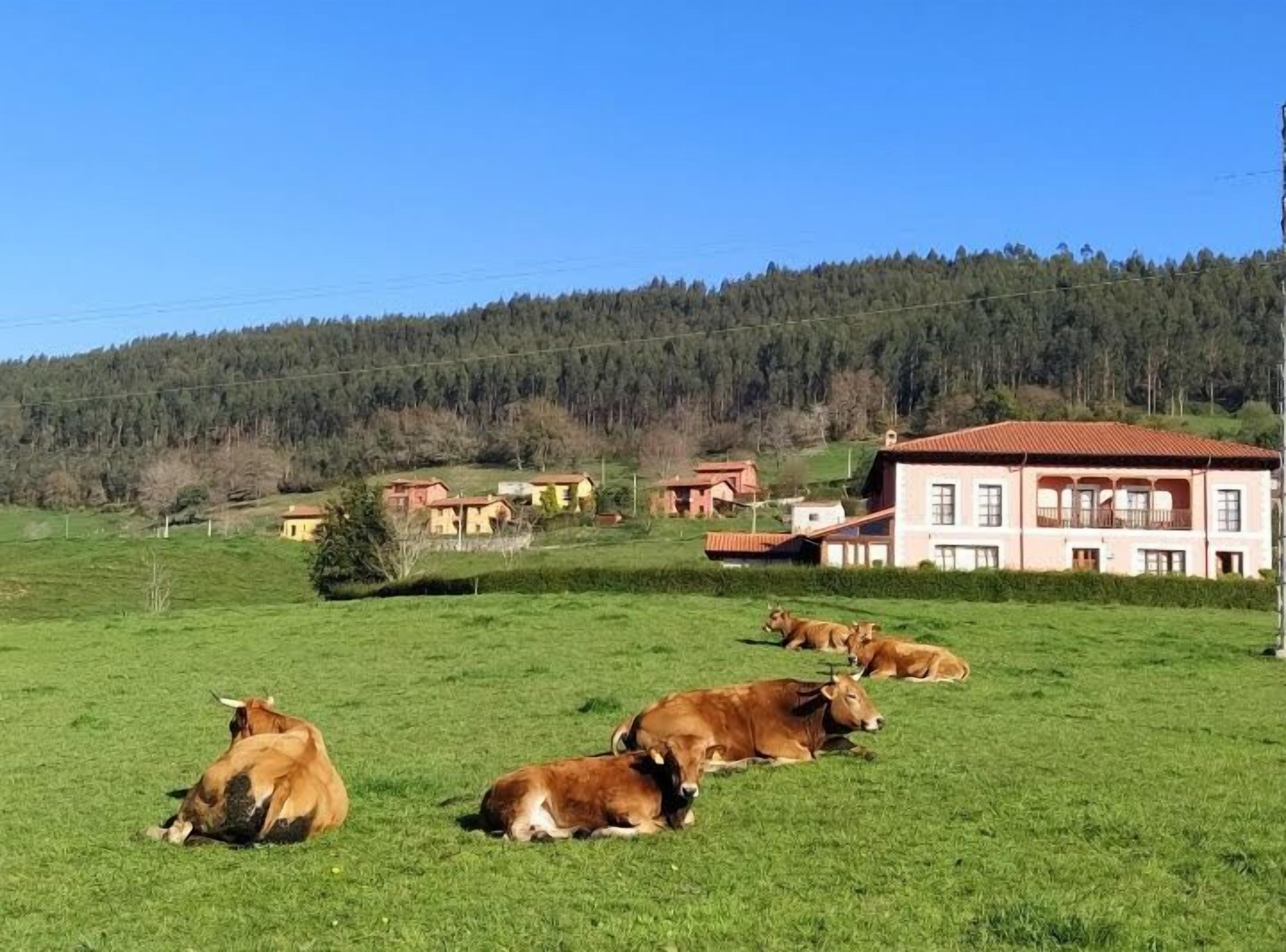 Foto - Hotel Puerta Del Oriente