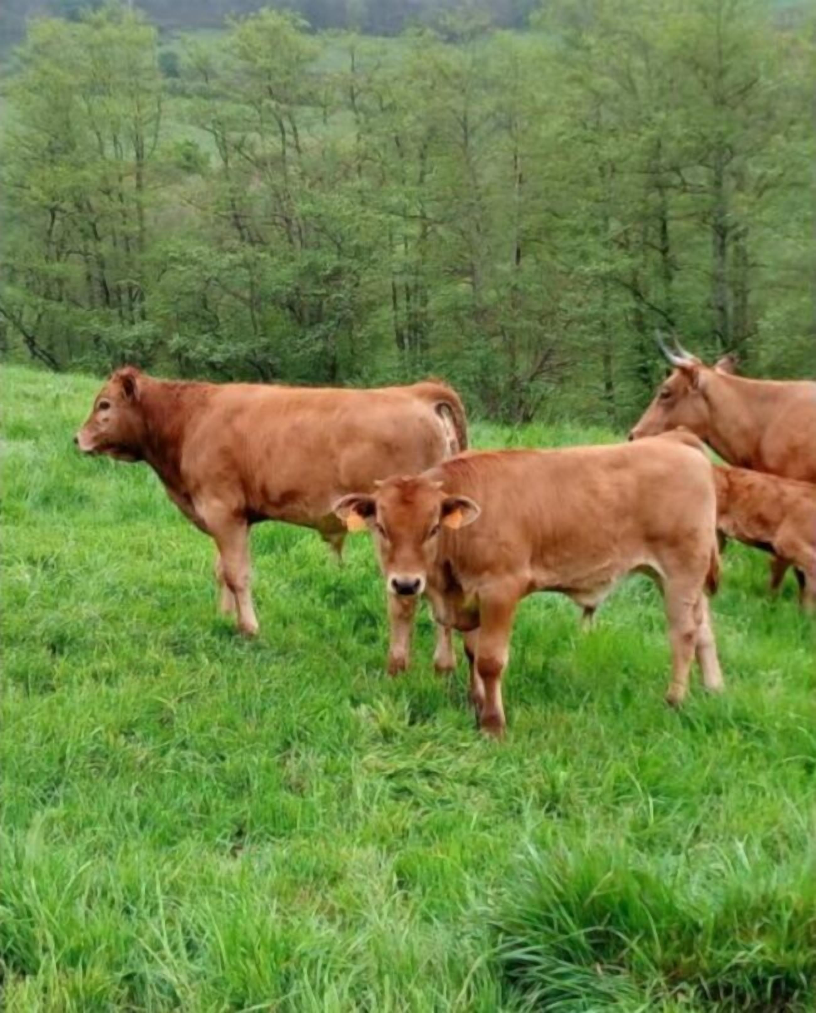 Foto - Hotel Puerta Del Oriente