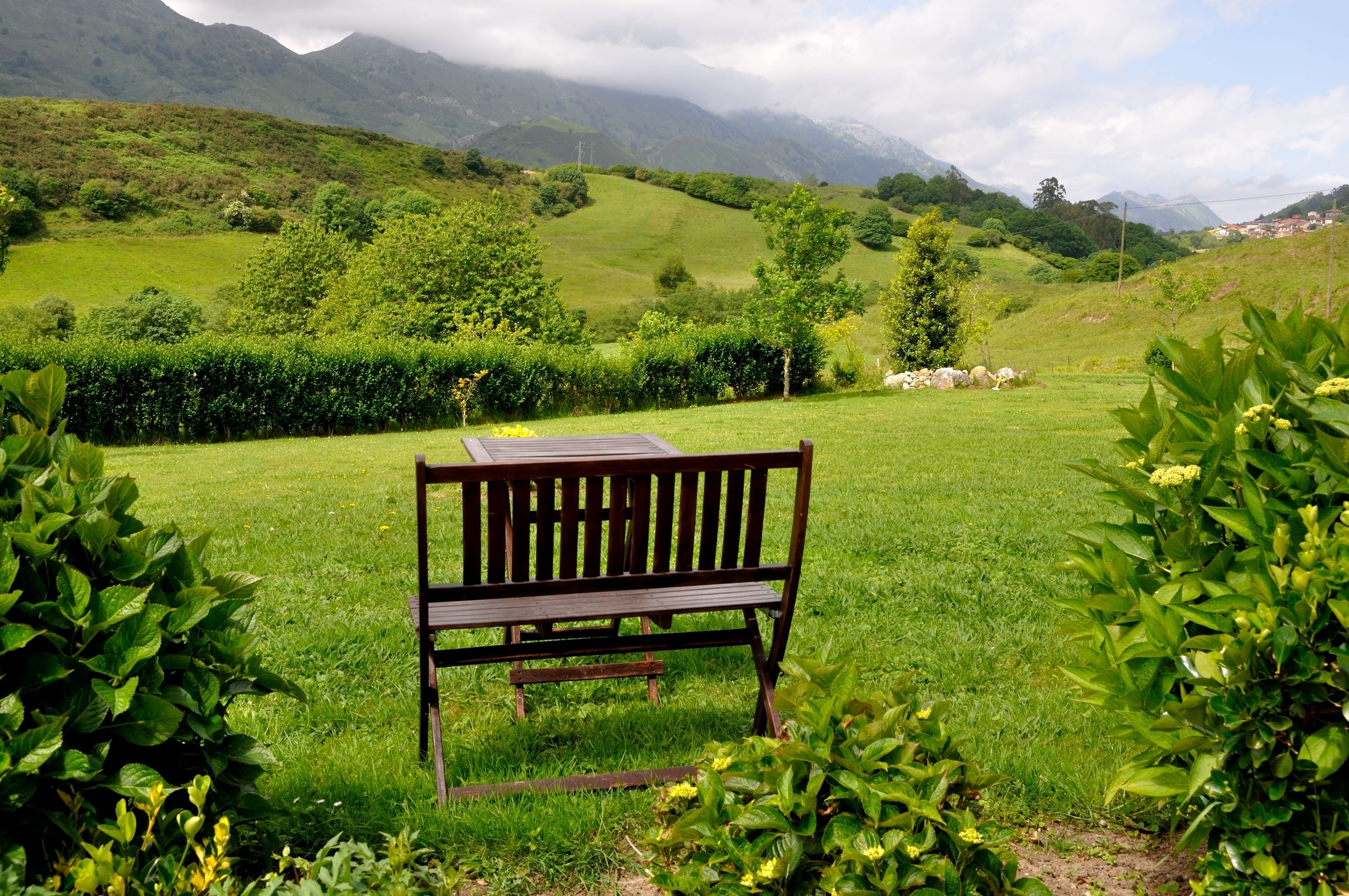 Un banc dans un champ verdoyant, avec des montagnes en arrière-plan.