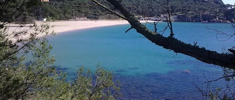 Vlak bij het strand