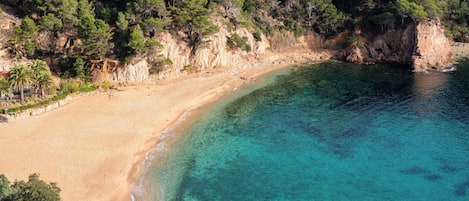 Playa en los alrededores y sombrillas