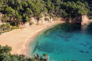Una playa cerca, sombrillas