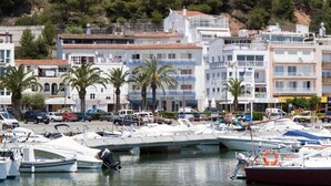 Puerto deportivo con barcos amarrados, rodeado de edificios con balcones y una colina al fondo.