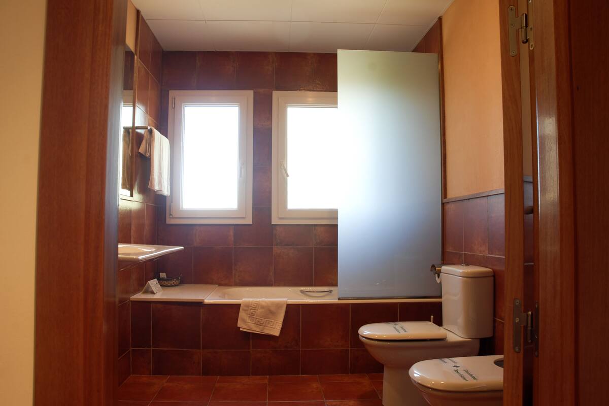 free toiletries, hair dryer, bidet, towels