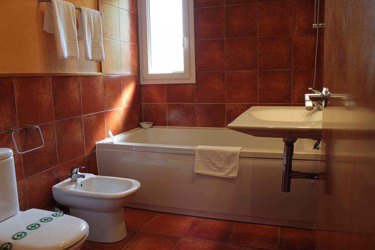 free toiletries, hair dryer, bidet, towels