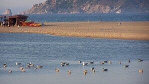 Une plage avec des kayaks, un phare et une falaise rocheuse en arrière-plan.