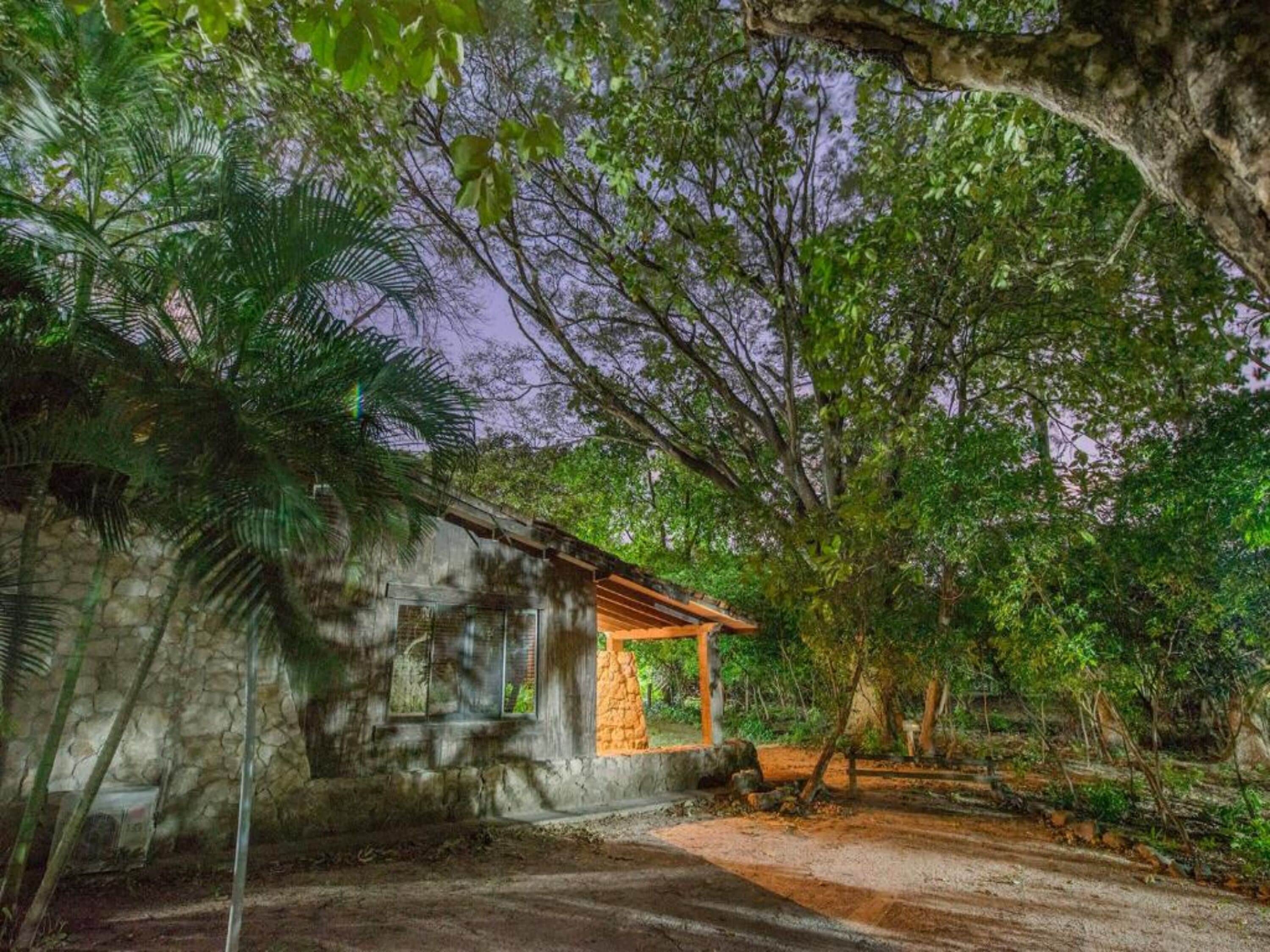 Ropa de cama hipoalergénica y caja de seguridad en la habitación 