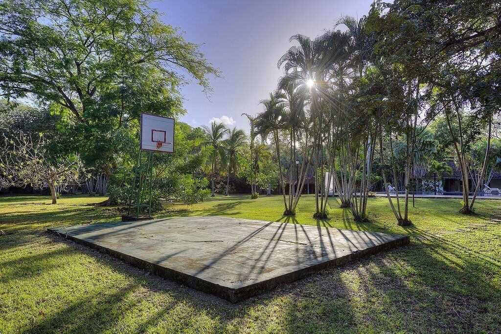 Ein Basketballplatz mit Korb, umgeben von Bäumen und Gras.