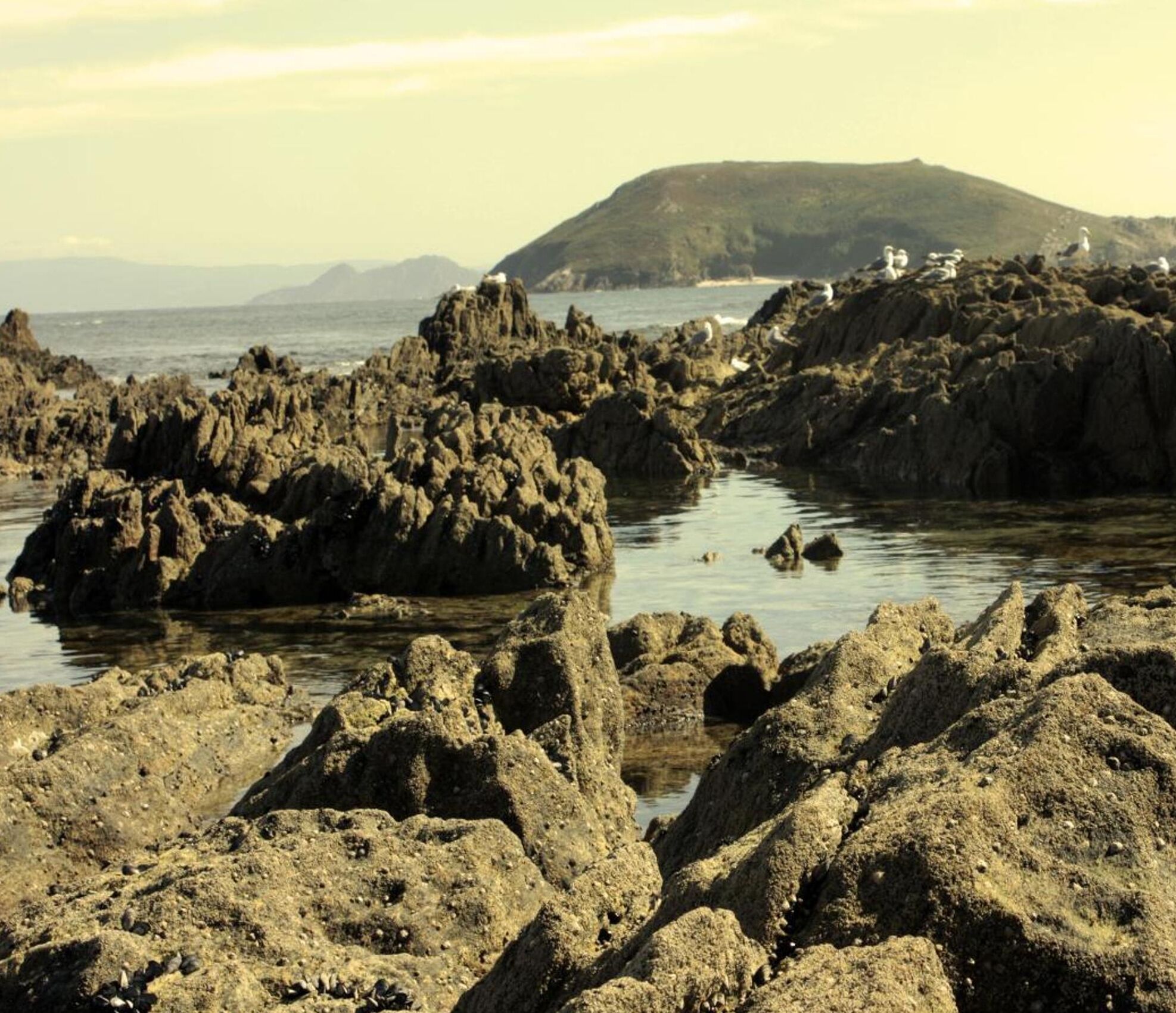 Foto - Nuevo Norat Sanxenxo