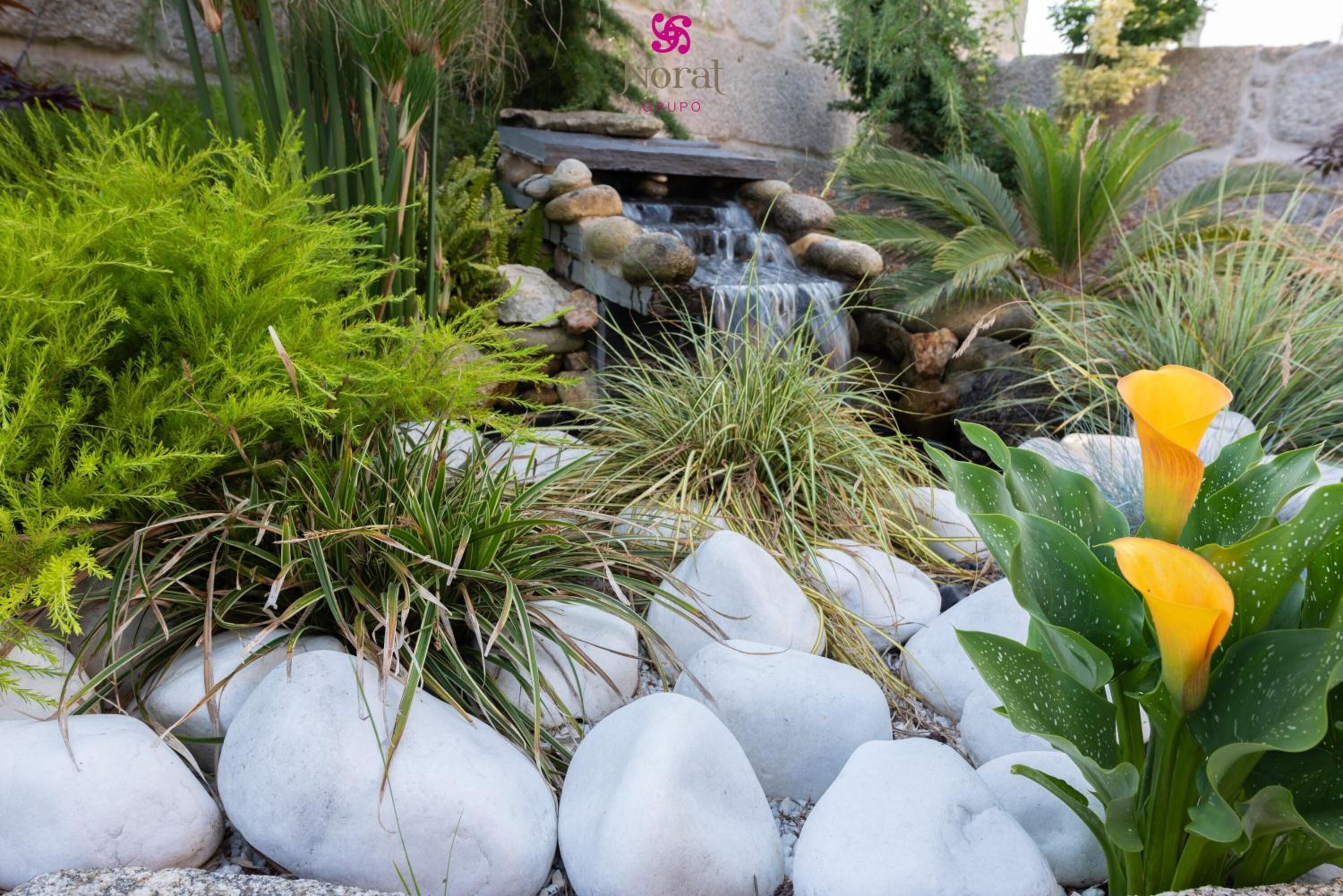 Foto - Nuevo Norat Sanxenxo