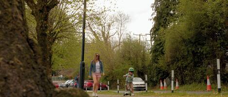Un sendero bordeado de árboles y coches aparcados.