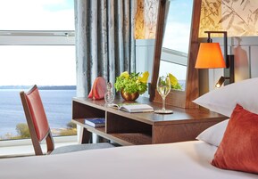 Superior Room | View from room