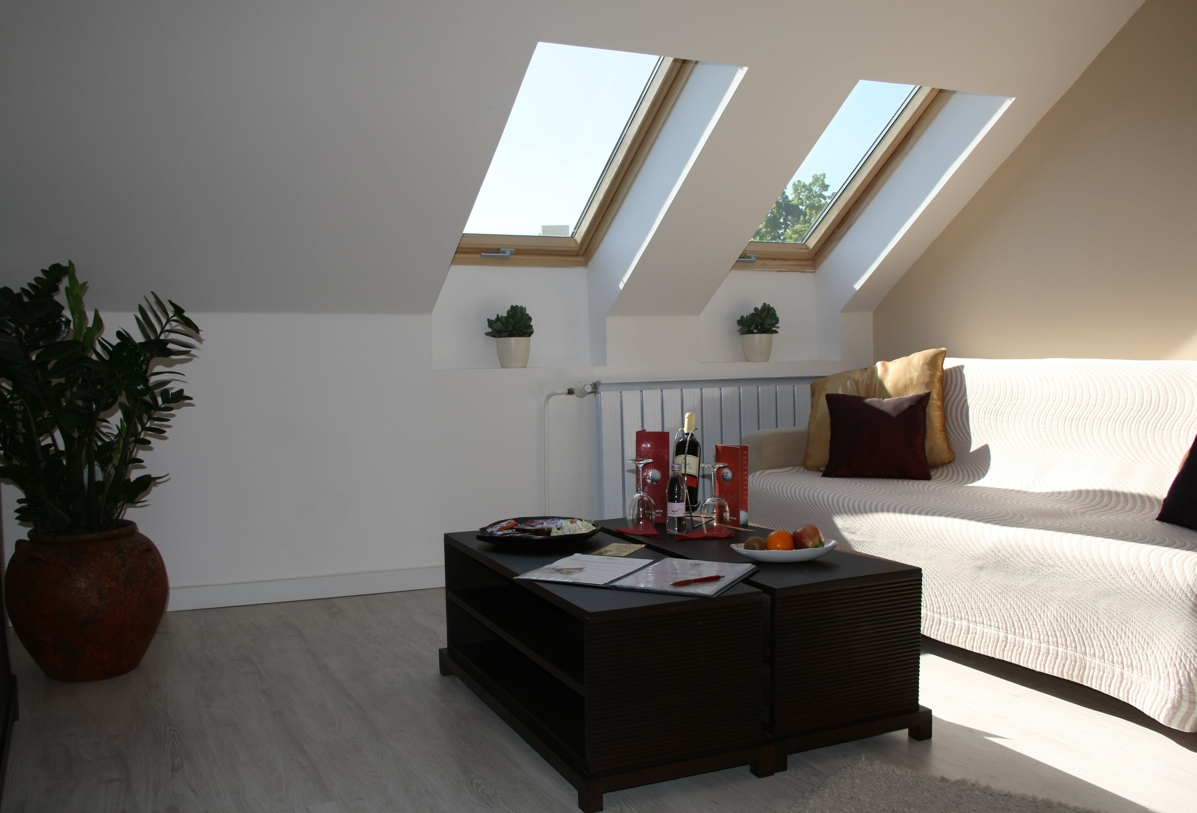 A modern living room with a sofa, a coffee table, and two skylights.