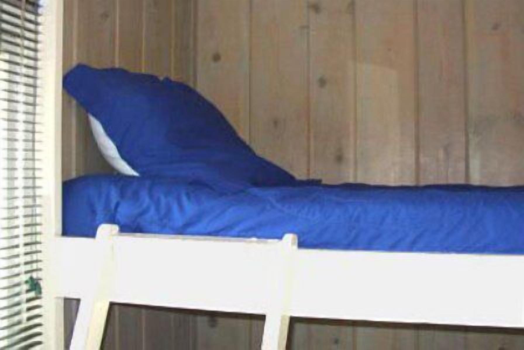 A bunk bed with a blue mattress and a white frame.