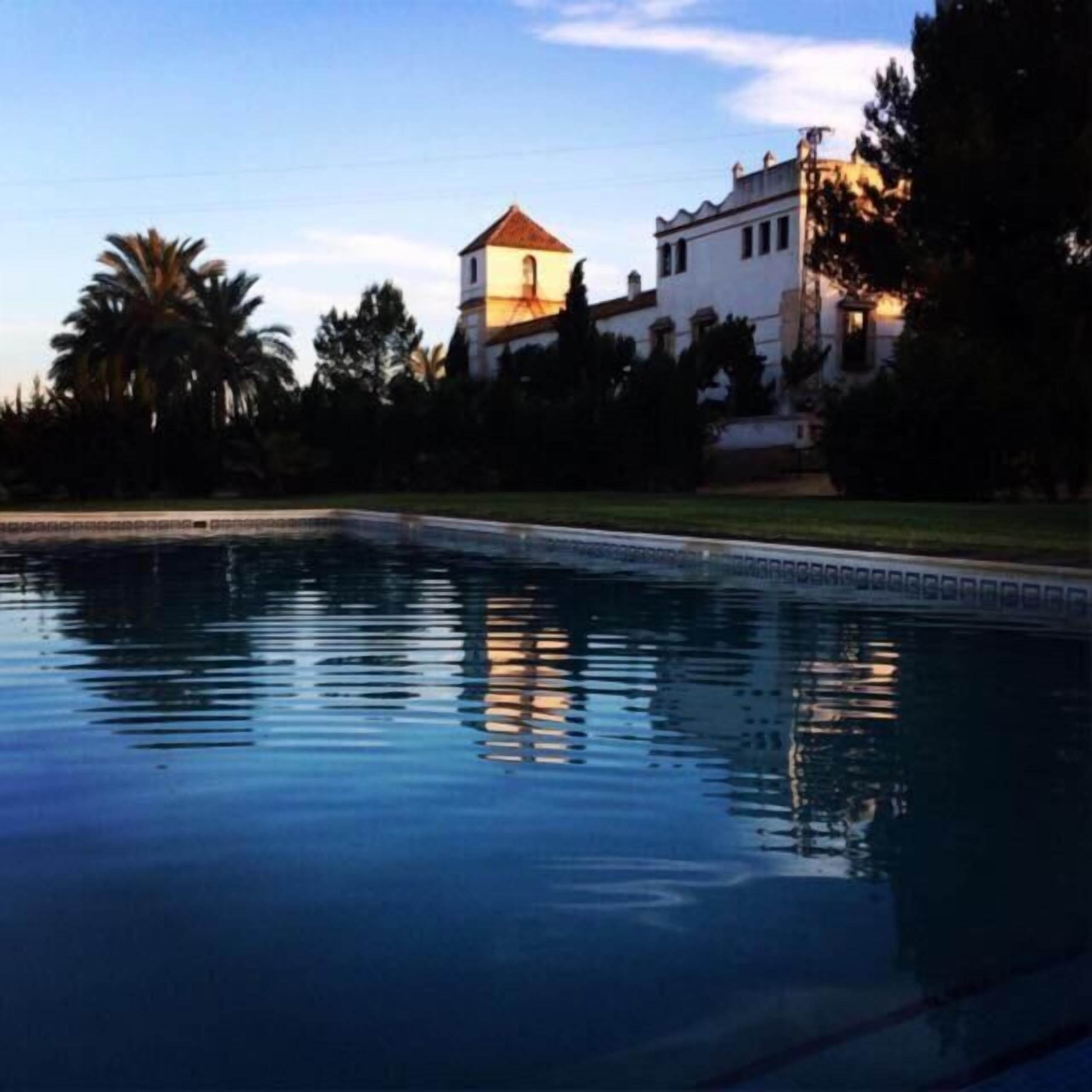 Outdoor pool, pool loungers