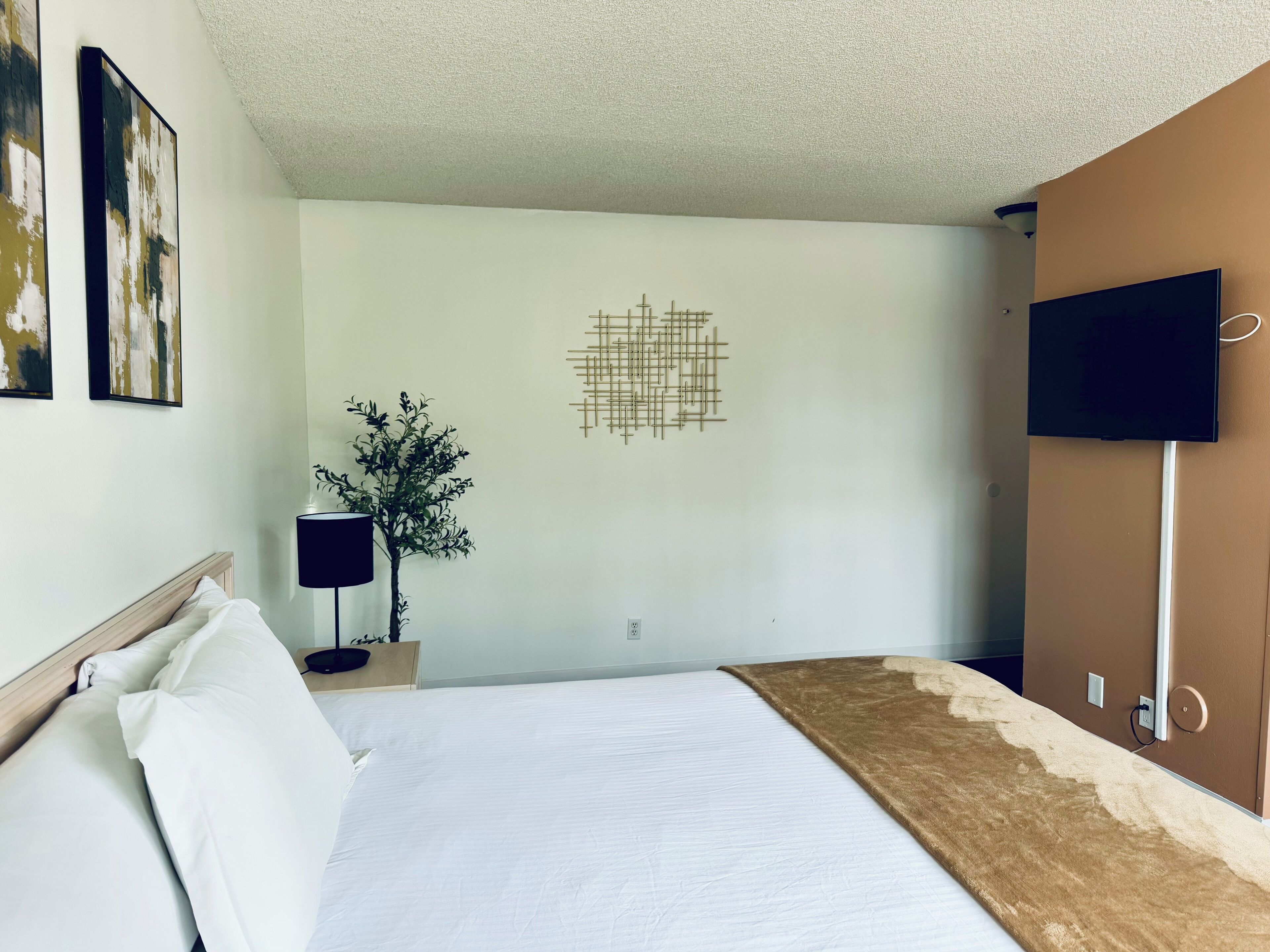 A hotel room with a bed, a TV, a plant, and artwork on the walls.
