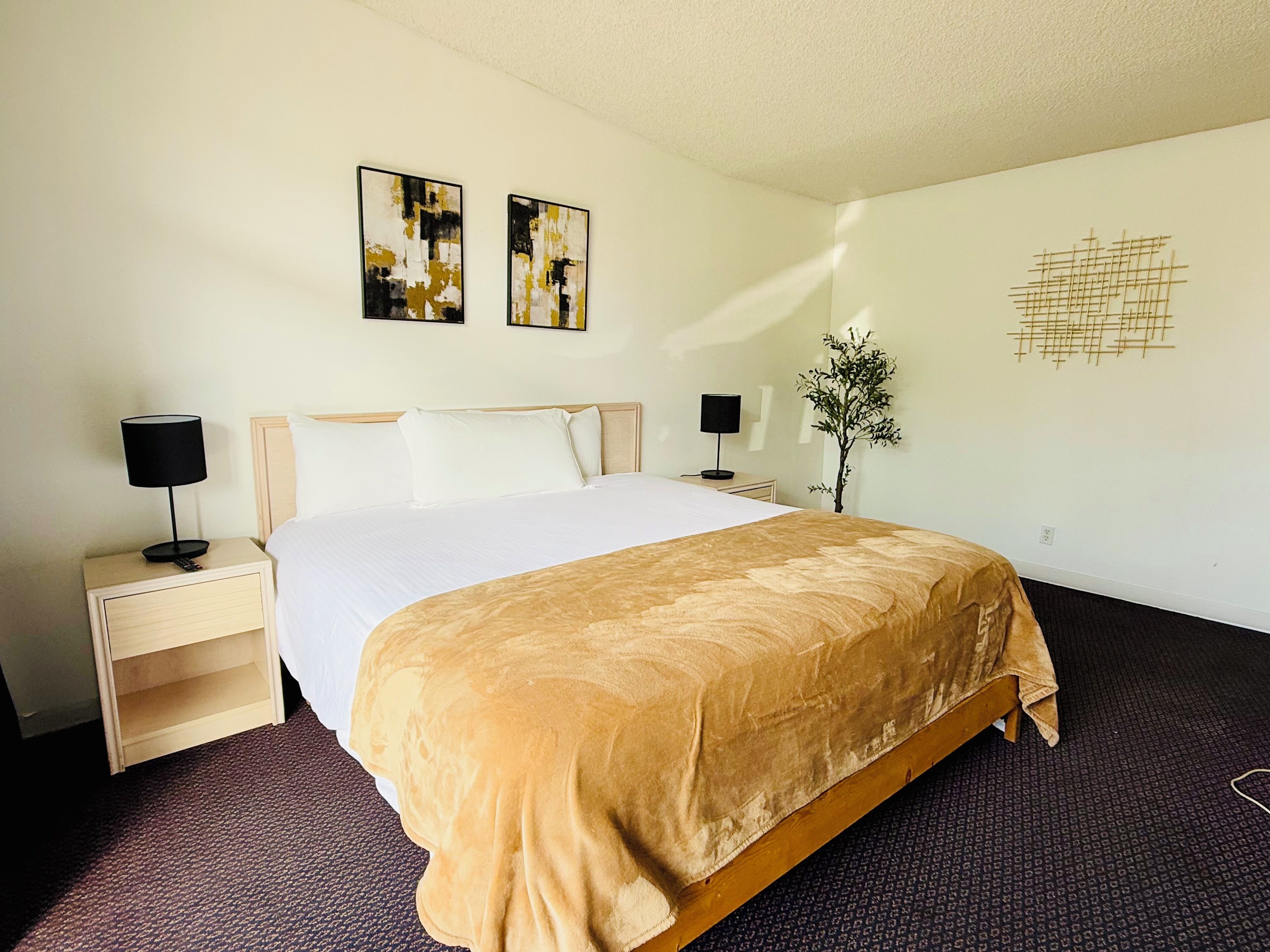 A hotel room with a large bed, two bedside tables, a nightstand, a wall-mounted lamp, a small potted plant, and two abstract art pieces.