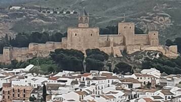 A historic town with a prominent castle-like structure in the background and densely packed white buildings in the foreground.