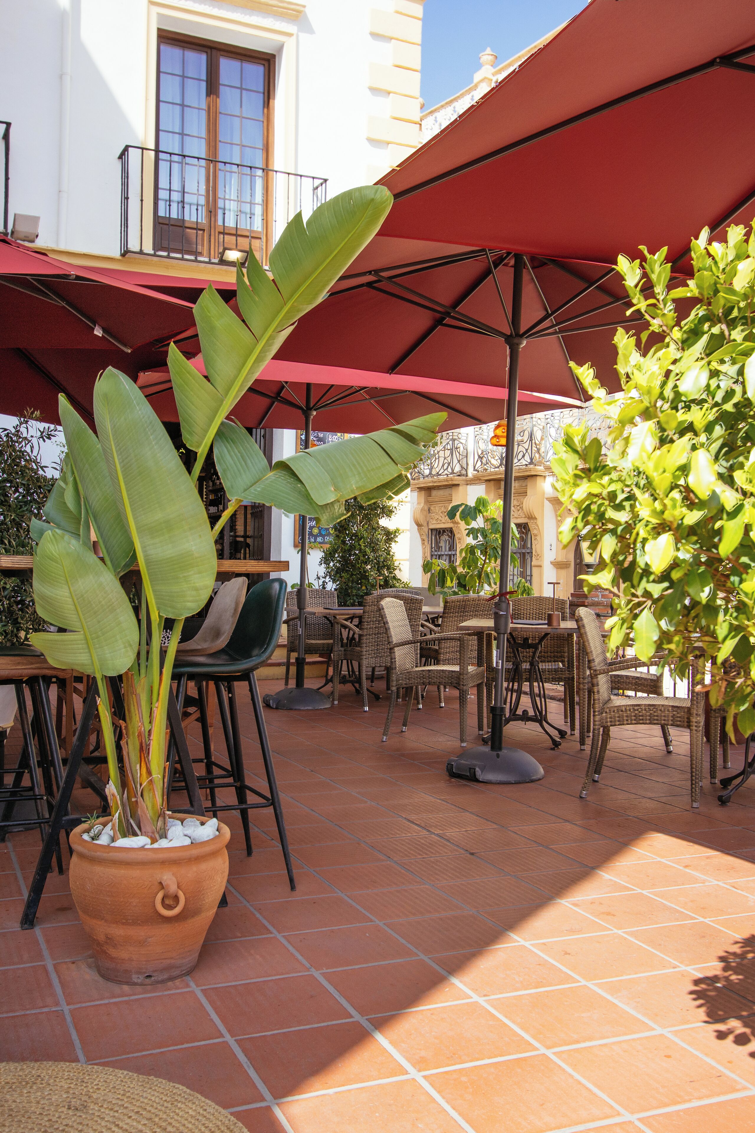 An outdoor patio with terracotta tiles, wicker furniture, and potted plants under red umbrellas.