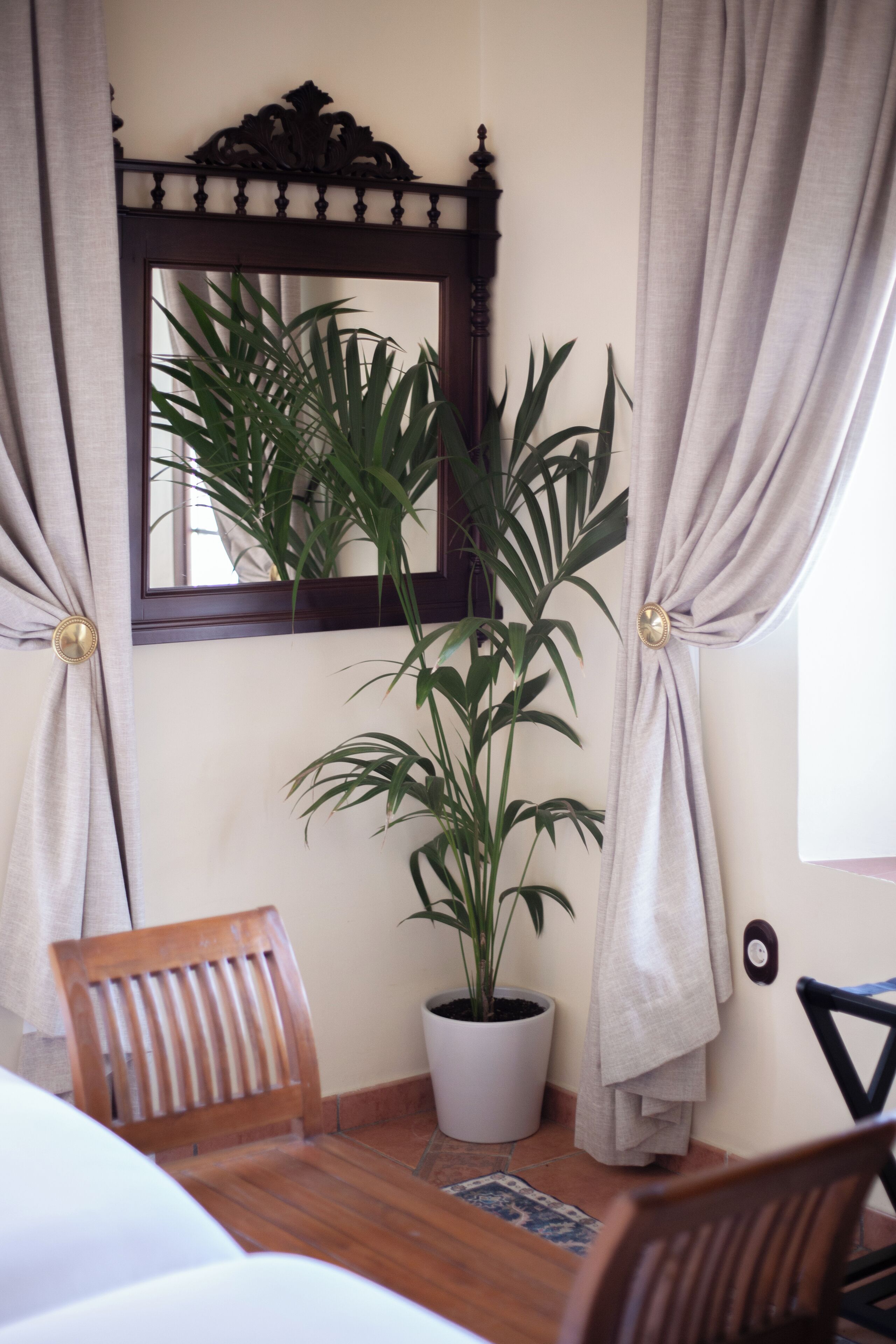 A room with a wooden chair, a potted plant, a mirror, and a window with curtains.