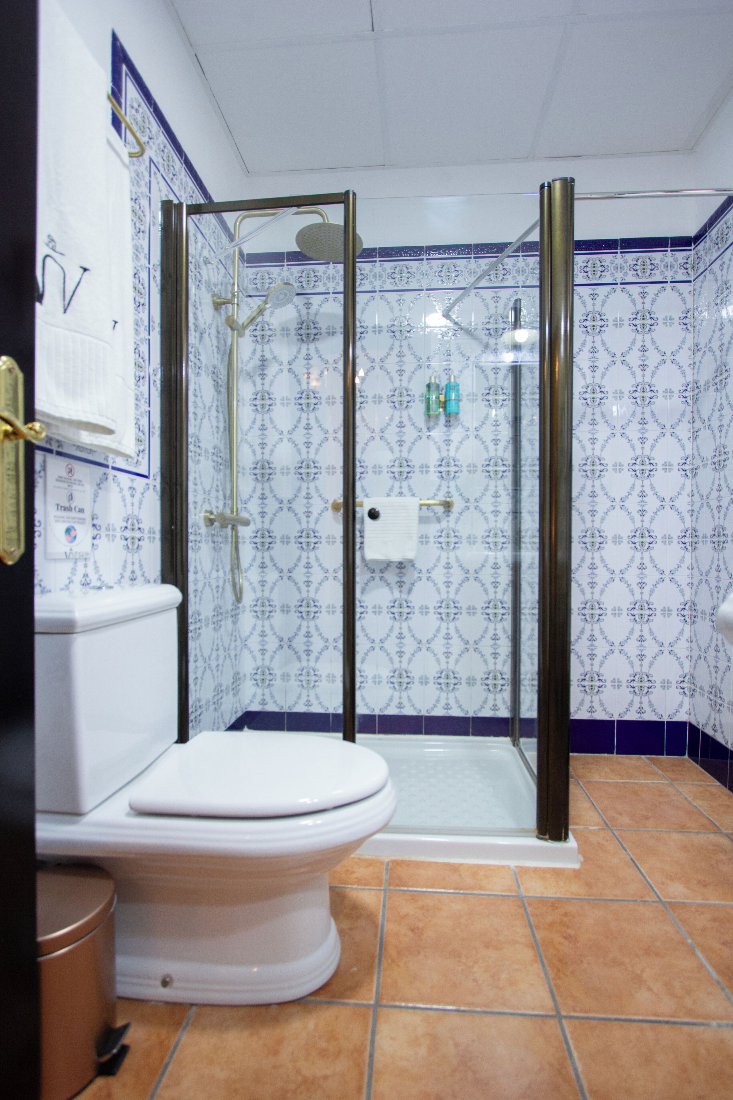 A bathroom with a white toilet, a glass-enclosed shower, and patterned blue and white tiles.