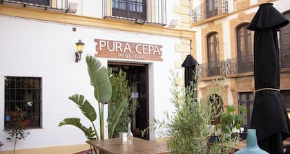 Hotel Palacio de Hemingway