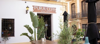 Hotel Palacio de Hemingway