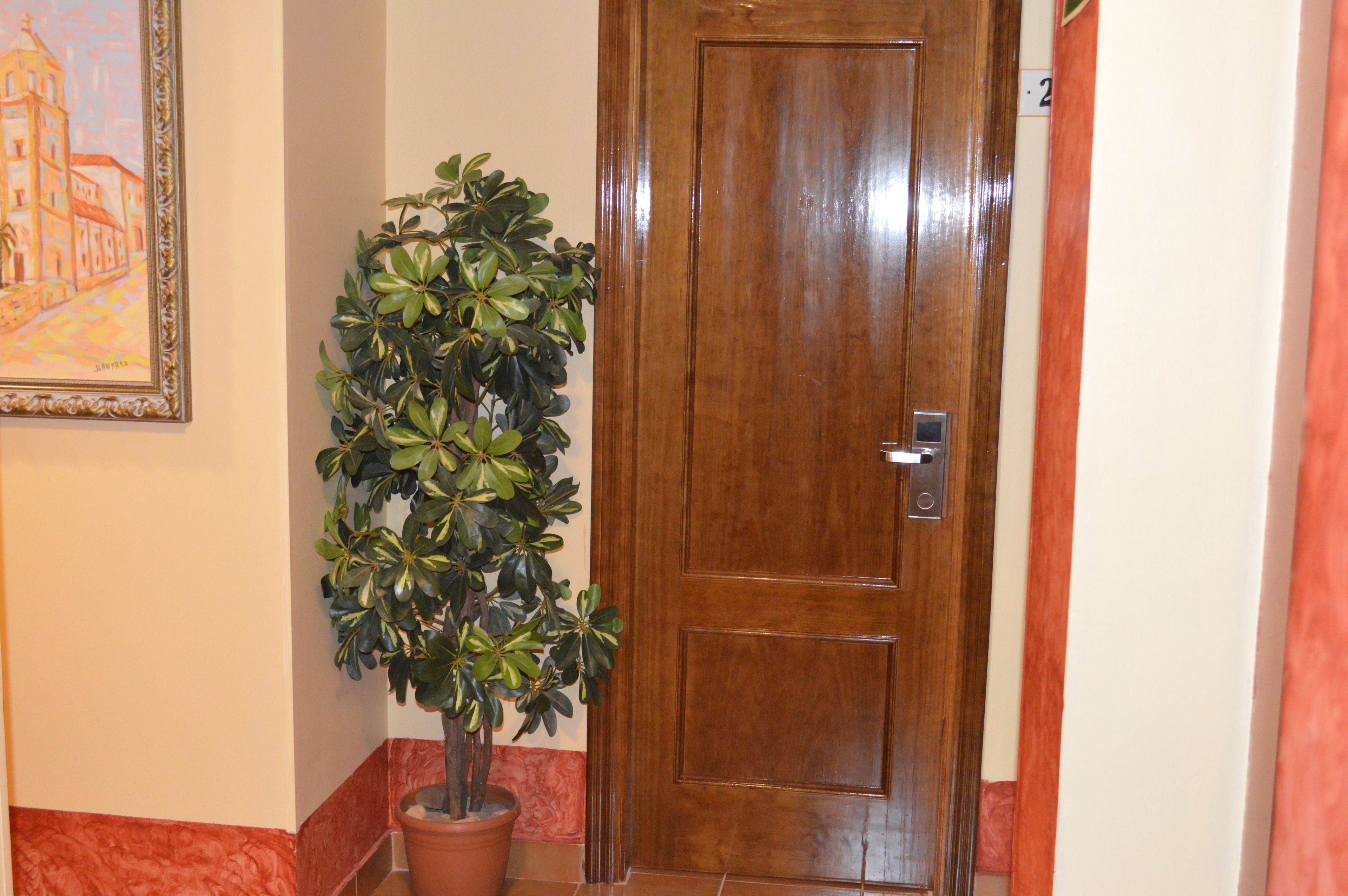 Photo - Plaza de Toros