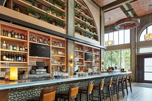 Zona de bar con estanterías llenas de botellas de licor, un televisor de pantalla plana y una barra larga con taburetes.