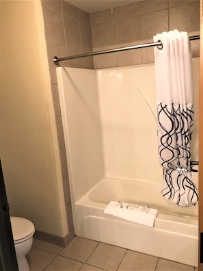 Combined shower/tub, hair dryer, towels