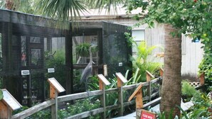 A wooden pathway leading to a fenced enclosure with a sign warning of slippery steps when wet. - Comfort Inn & Suites (Port Charlotte)