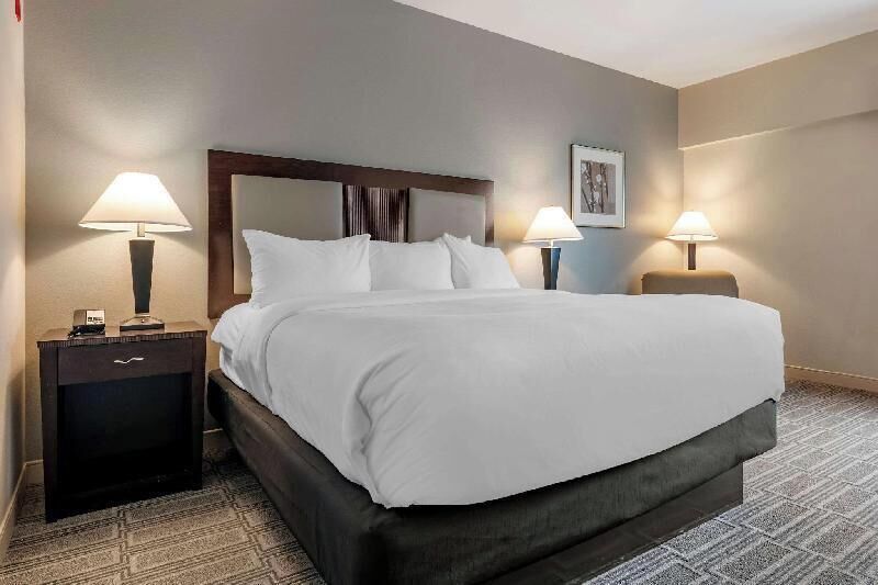 Premium bedding, down duvets, pillow-top beds, desk