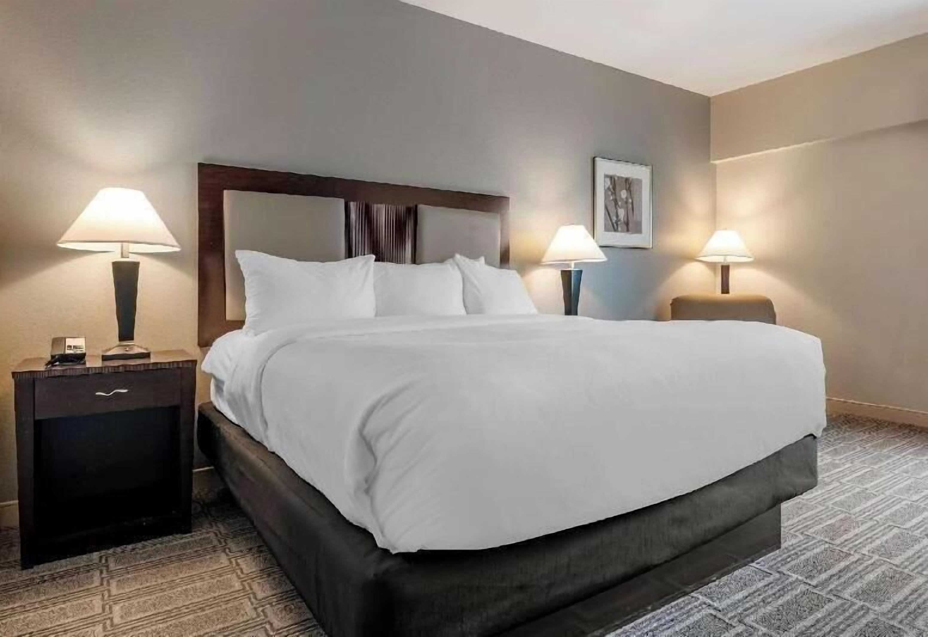 Premium bedding, down comforters, pillowtop beds, desk