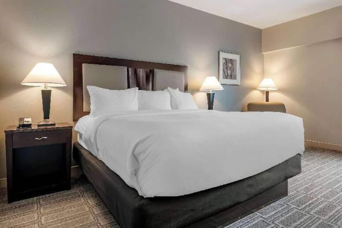 Premium bedding, down comforters, pillowtop beds, desk