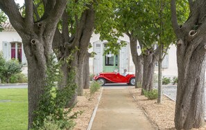 Un camino que lleva a un edificio con una puerta verde, rodeado de árboles con cavidades visibles.