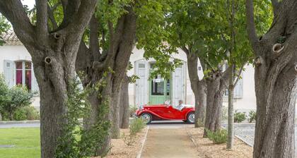 Cerise Carcassonne Sud