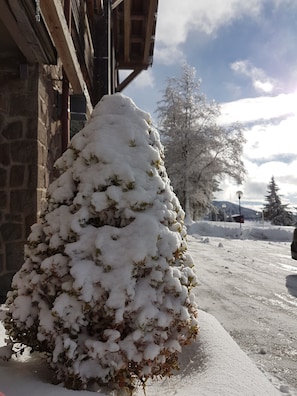 A snow-covered bush in front of a stone building. - Résidence Le Bois de la Reine (Besse-et-Saint-Anastaise)